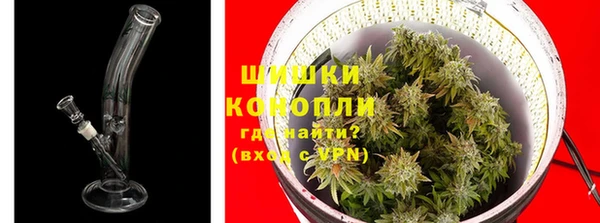 сатива Абинск