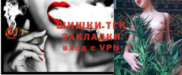 сатива Абинск