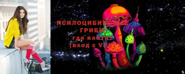 гидра Туринск