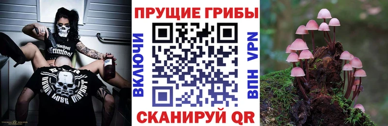Псилоцибиновые грибы прущие грибы  Екатеринбург 