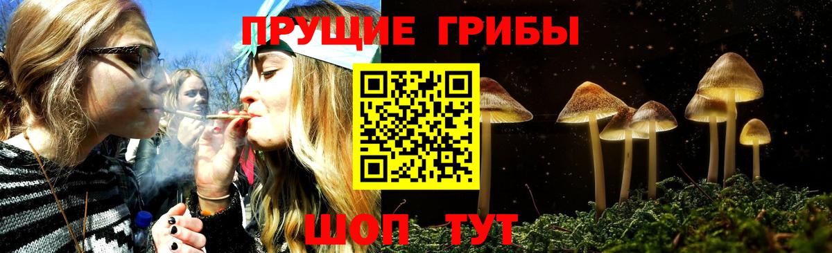Псилоцибиновые грибы Psilocybe  Галлюциногенные грибы мицелий  Вход с VPN  Екатеринбург 